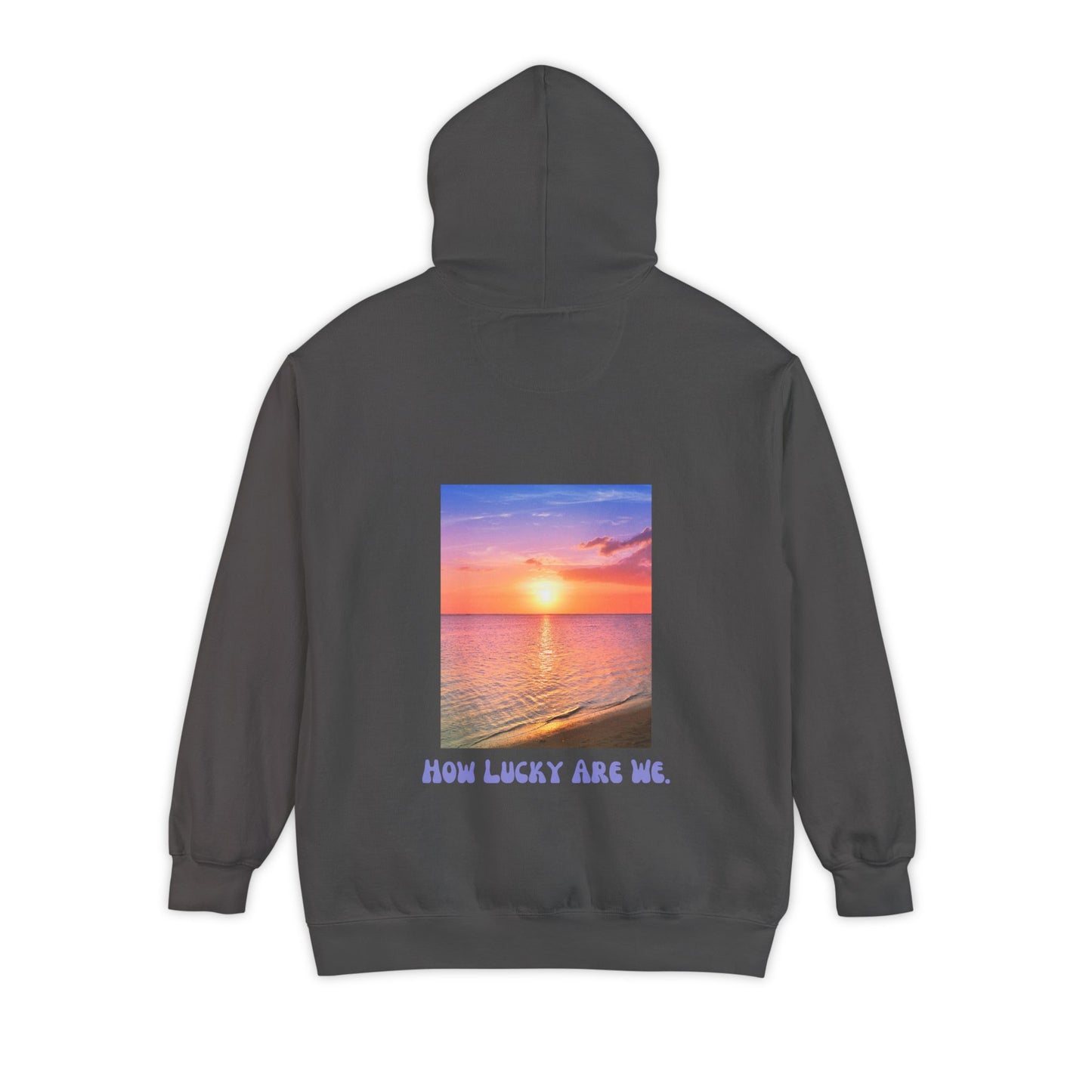How Lucky Are We- Comfort Colors Hoodie