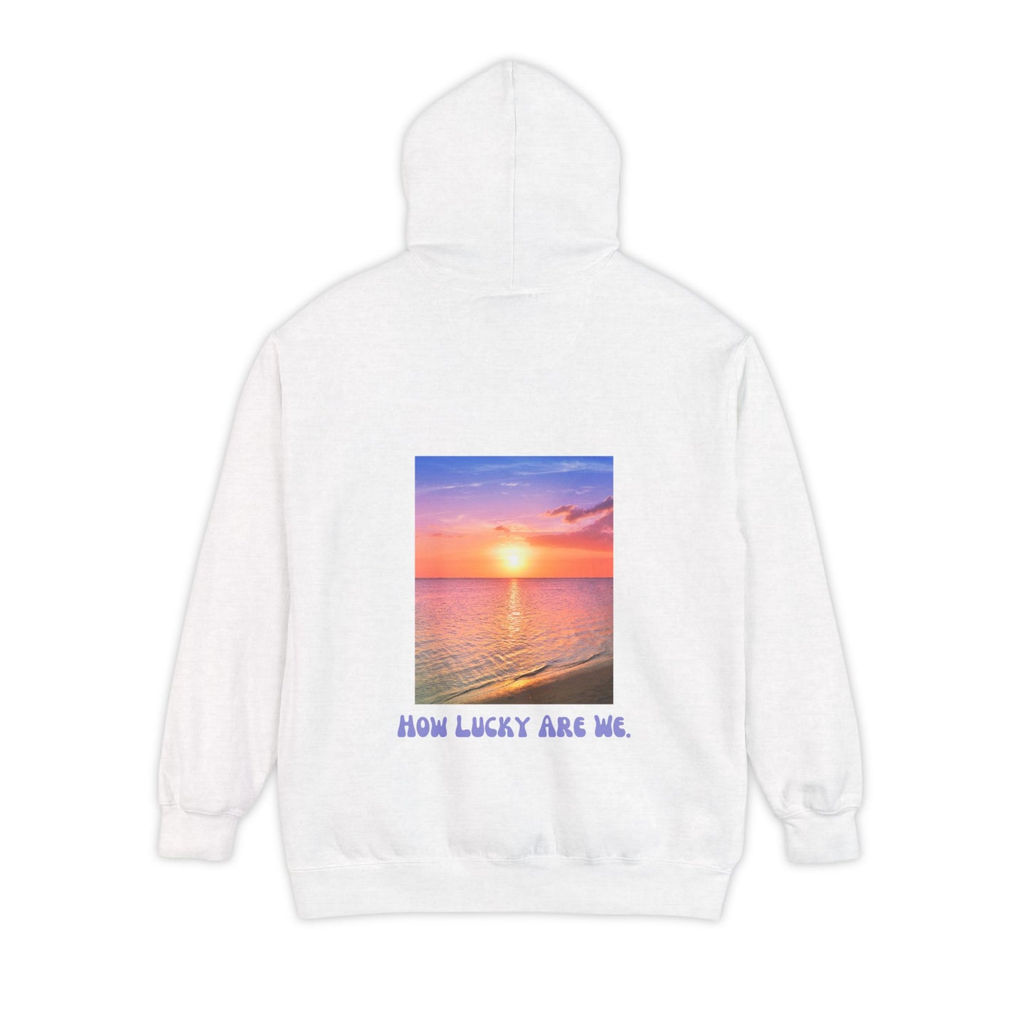 How Lucky Are We- Comfort Colors Hoodie